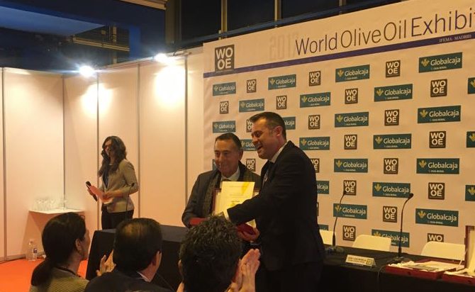 grupo-ybarra-reconocimiento-innovacion-world-olive