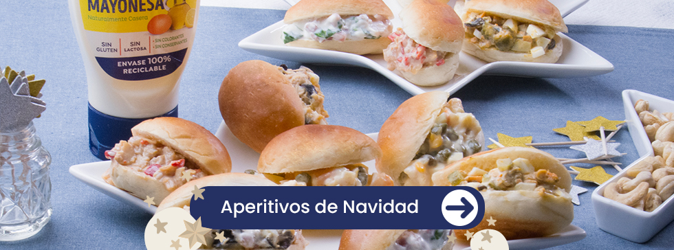 cover_slider_web_YBARRA_24_navidad